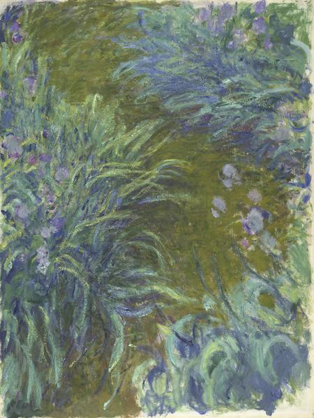 Irises